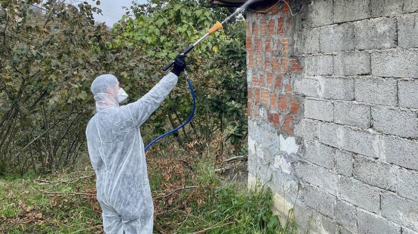 Giresun'da Kahverengi kokarcaya karşı 'topyekün' mücadele sonuç verdi: 90 bin Samuray arısı sahada! 70 bin kışlak ilaçlandı, 25 bin çiftçi eğitildi