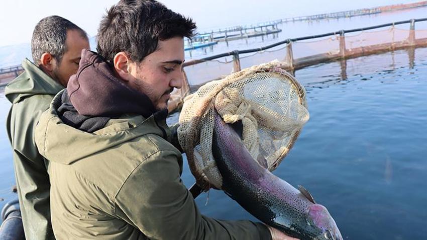 Şanlıurfalı vatandaş iş yapmayan dükkanını kapatıp Fırat Nehri'nde nasibini aradı! Şimdi yılda 5 milyon dolar ihracat yapıyor
