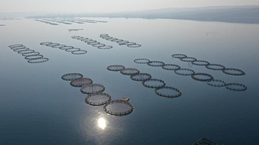 Şanlıurfalı vatandaş iş yapmayan dükkanını kapatıp Fırat Nehri'nde nasibini aradı! Şimdi yılda 5 milyon dolar ihracat yapıyor