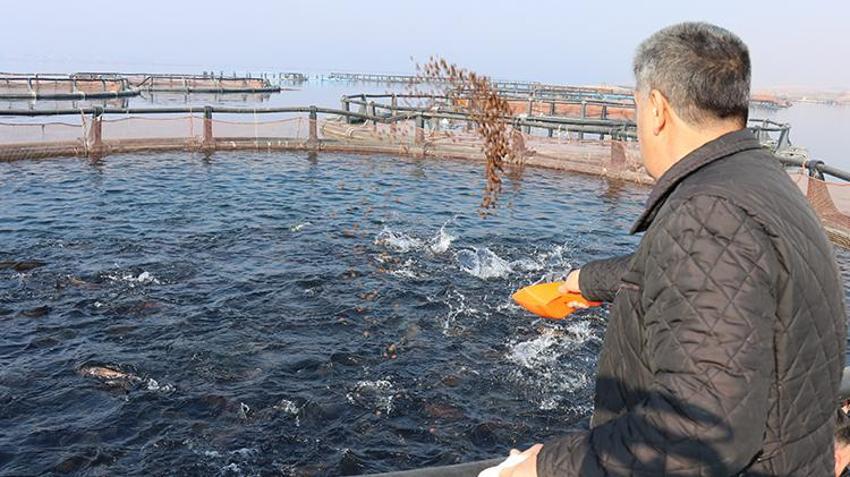 Şanlıurfalı vatandaş iş yapmayan dükkanını kapatıp Fırat Nehri'nde nasibini aradı! Şimdi yılda 5 milyon dolar ihracat yapıyor