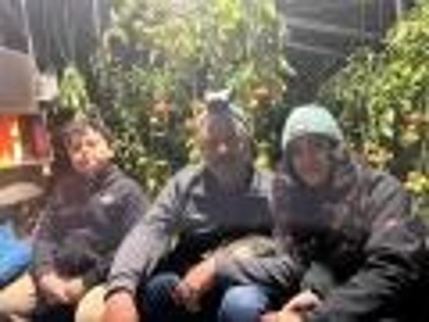 Antalya zirai don alarmı: Seralarda zorlu nöbet başladı! Bazı ürünleri don vurdu