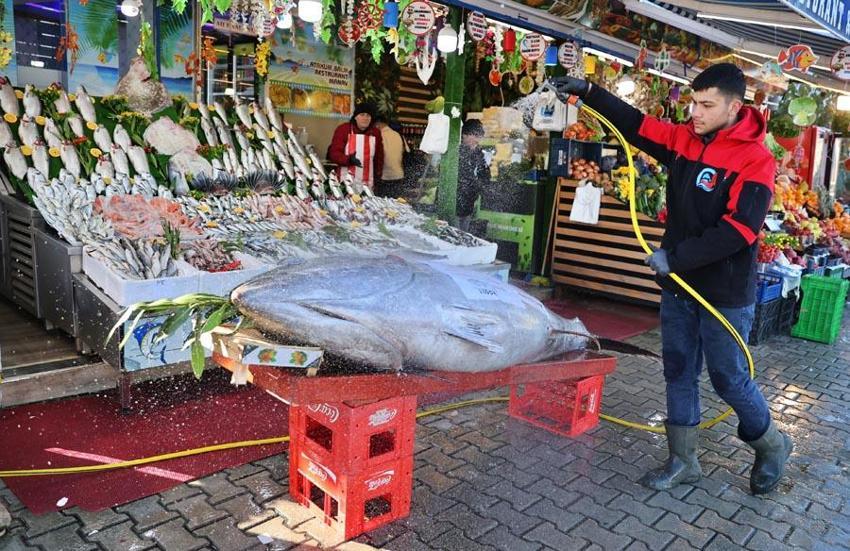 Samsun'da 353 kilogramlık dev orkinos kilosu 400 liradan satışa sunuldu