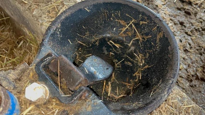 Eskişehir'de su şebekeleri bile dondu! "Yıllar sonra ilk kez böyle bir soğuk gördük"