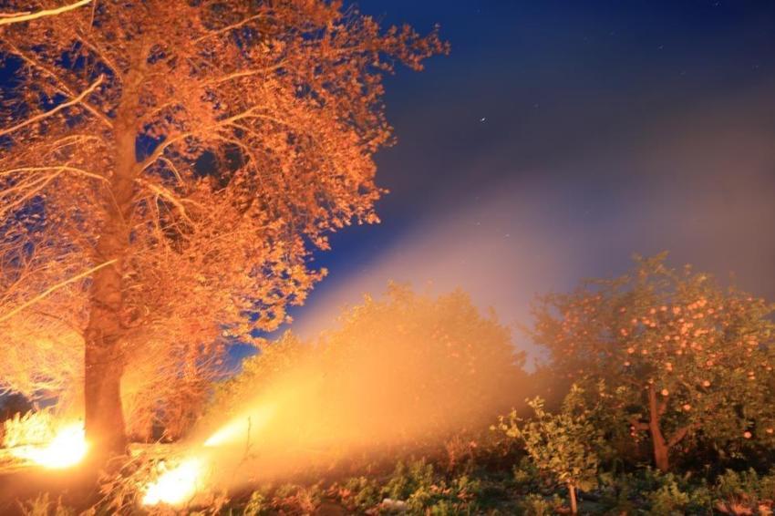 Adana'da gece yarısı herkes tarlaya koştu! Sıfırın altında toplandılar