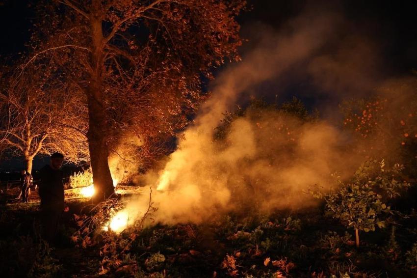 Adana'da gece yarısı herkes tarlaya koştu! Sıfırın altında toplandılar