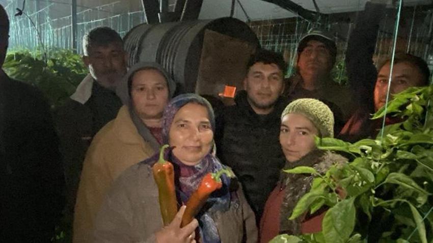 Antalya'da don alarmı! Termometreler sıfırın altını gördü, üretici don nöbetine başladı