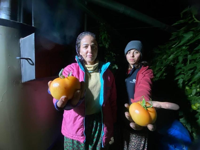 Antalya'da don alarmı! Termometreler sıfırın altını gördü, üretici don nöbetine başladı