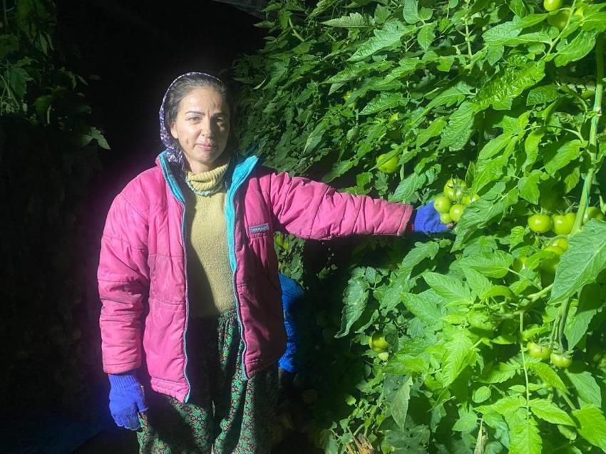 Antalya'da don alarmı! Termometreler sıfırın altını gördü, üretici don nöbetine başladı