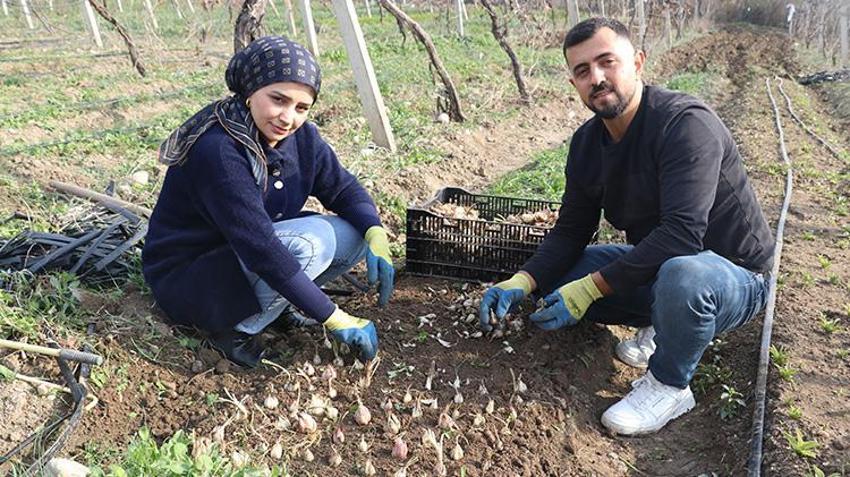 Tekstili bıraktı, eşiyle üretime başladı! Hobi olarak ektiği o bitkiyle servet kazandı: Şimdi siparişlere yetişmiyor