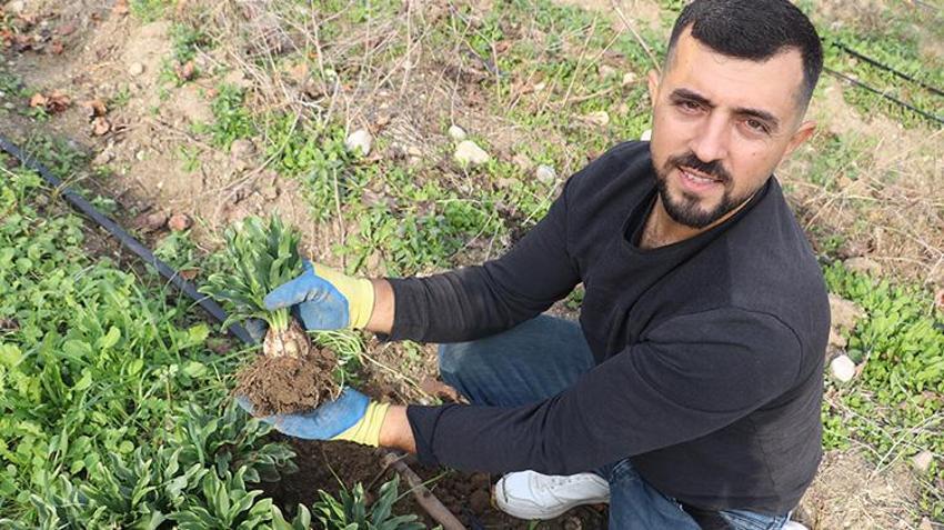 Tekstili bıraktı, eşiyle üretime başladı! Hobi olarak ektiği o bitkiyle servet kazandı: Şimdi siparişlere yetişmiyor