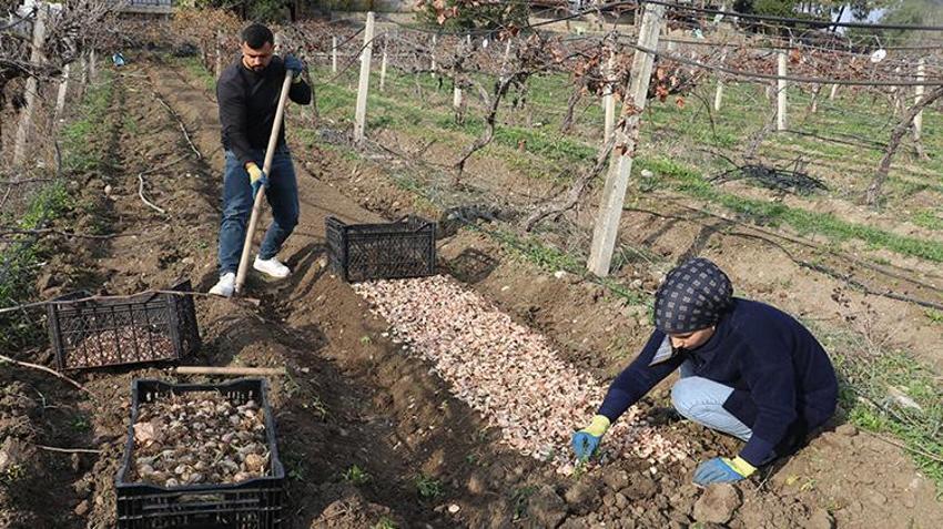 Tekstili bıraktı, eşiyle üretime başladı! Hobi olarak ektiği o bitkiyle servet kazandı: Şimdi siparişlere yetişmiyor