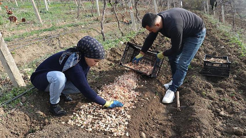 Tekstili bıraktı, eşiyle üretime başladı! Hobi olarak ektiği o bitkiyle servet kazandı: Şimdi siparişlere yetişmiyor