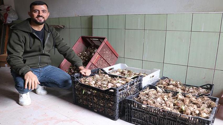 Tekstili bıraktı, eşiyle üretime başladı! Hobi olarak ektiği o bitkiyle servet kazandı: Şimdi siparişlere yetişmiyor