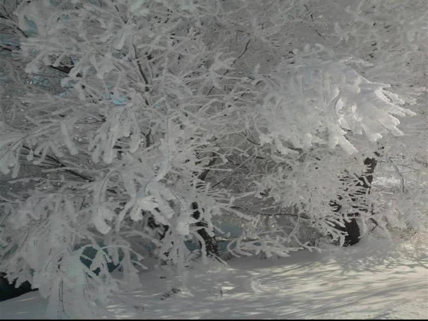 Burası Erzurum değil Adana! Termometreler eksi 28’i gördü! 'Yıllardır böylesini görmedik'