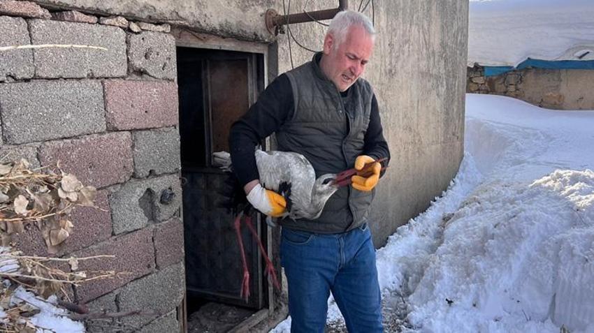 Hakkari'de karların içinde donmak üzereyken buldu! Evine alıp elleriyle besledi