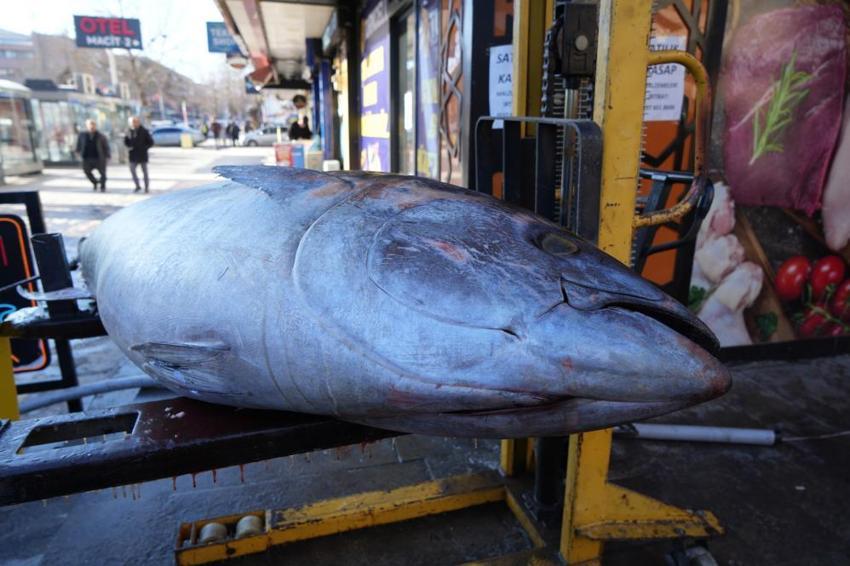 Erzincan'da günün konusu oldu! Tezgahta görenler telefonuna sarıldı: Kilosu 500 liradan satışa sunuldu
