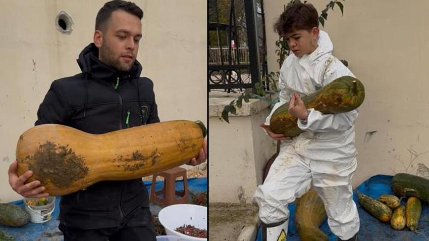 Yurt dışından getirdiği tohumu ekti, sonuçları şaşkına çevirdi! Çiftçinin geliri katlanacak