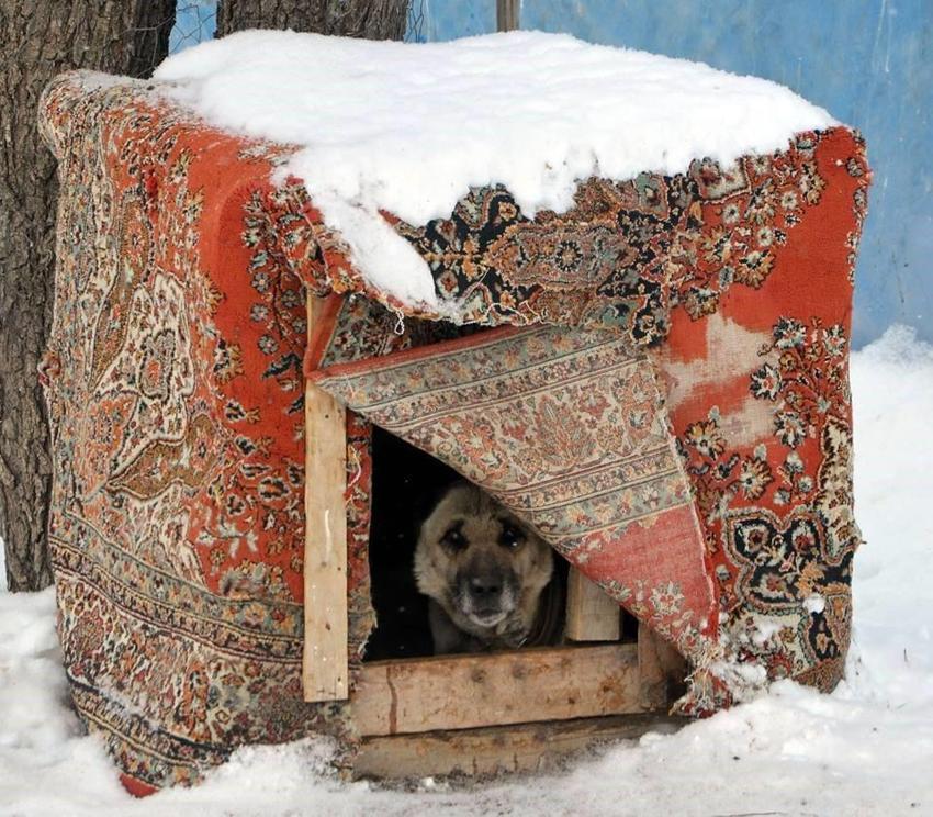 Atatürk ABD için onay vermiş! 1938'de Erzurum'dan seçilip yola çıktılar