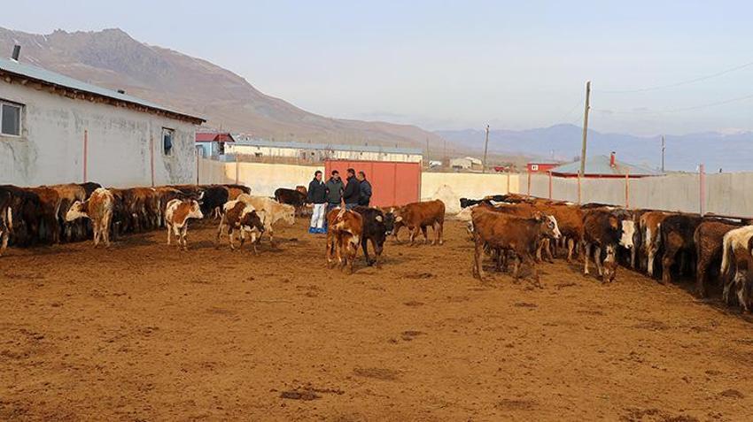 Üniversiteden mezun oldu, babasının yanına koştu! Devlet desteğiyle işi büyüttü, masrafları yarıya indirdi