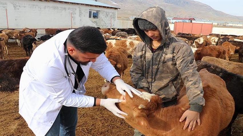 Üniversiteden mezun oldu, babasının yanına koştu! Devlet desteğiyle işi büyüttü, masrafları yarıya indirdi