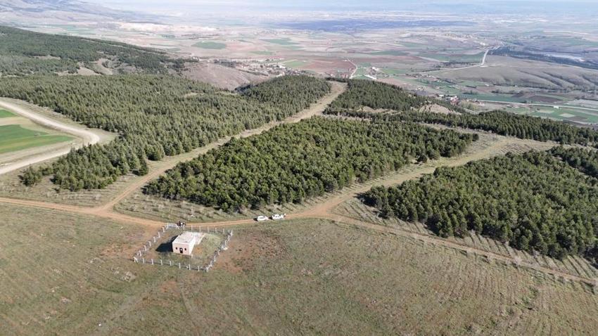 İtiraf ederken sesi titremedi: Eskişehir'de genç kadını boğdu, 2 gün art arda benzin döküp yaktı