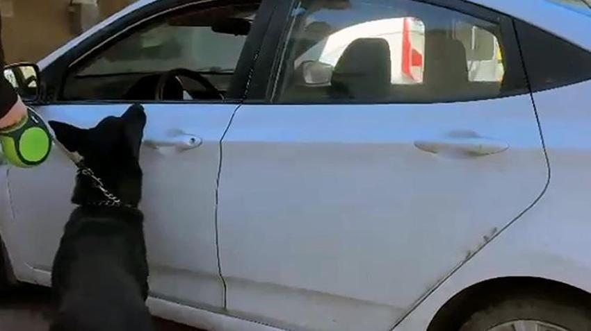Aracından 66 bin uyuşturucu hap çıkan şahsın yaptığı savunma pes dedirtti