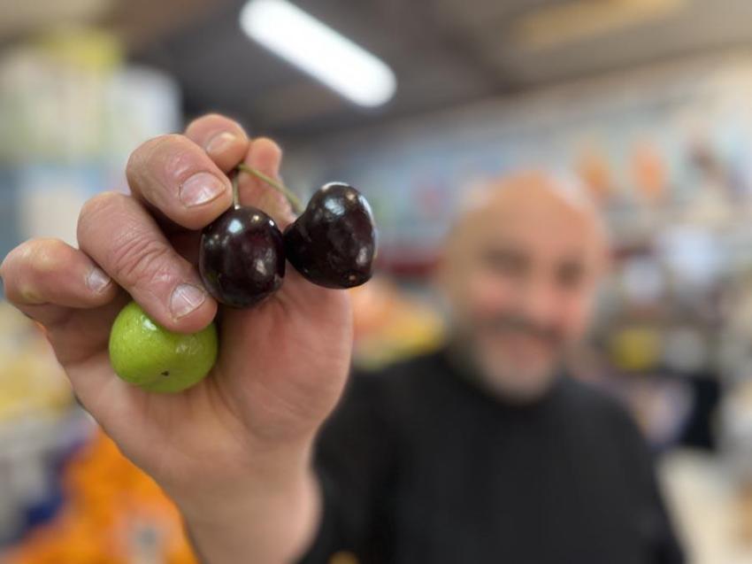 Aşerenler için bu meyveler Singapur'dan geliyor: 5 tanesi bin liraya satılan kiraz ve erik