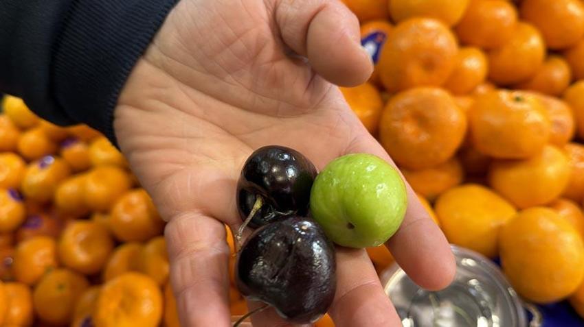 Aşerenler için bu meyveler Singapur'dan geliyor: 5 tanesi bin liraya satılan kiraz ve erik