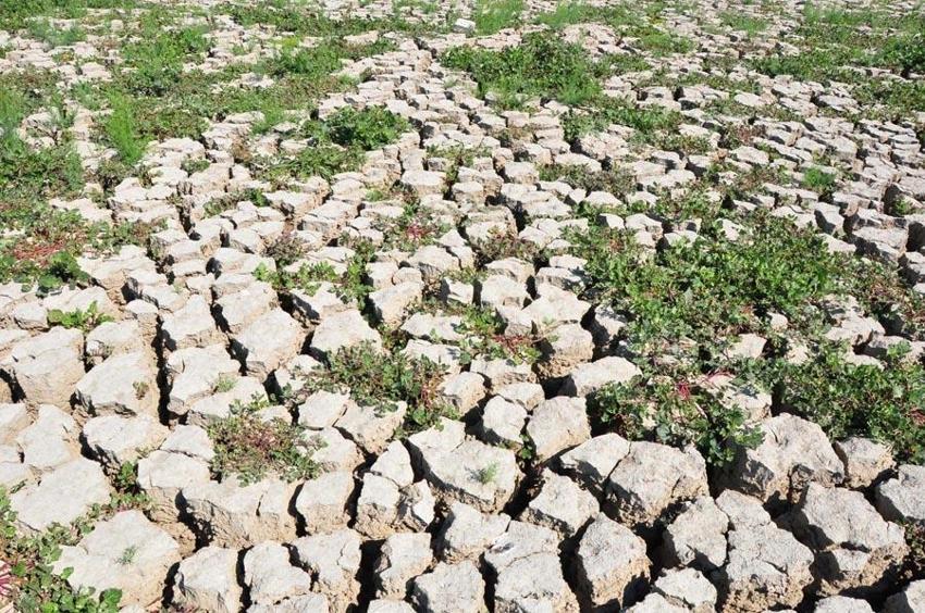 Marmara Gölü’nü kurtaracak proje: İhale tamamlandı, işte detaylar...