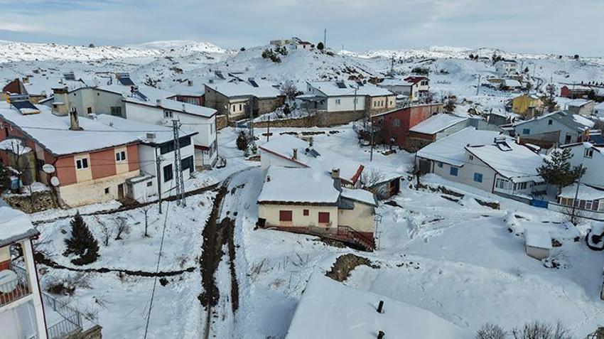 Sivas'ın bu köyüne acil köpek lazım! Köylüler dışarı çıkmaya korkuyor