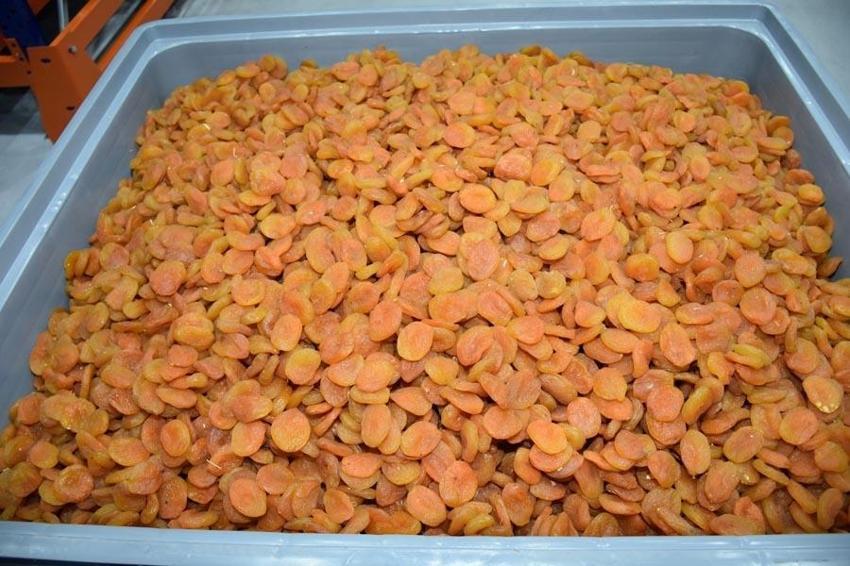Malatya'dan Türkiye'nin ihracat gelirine dev katkı: Kuru kayısı ihracatından 303 milyon 584 bin dolar gelir