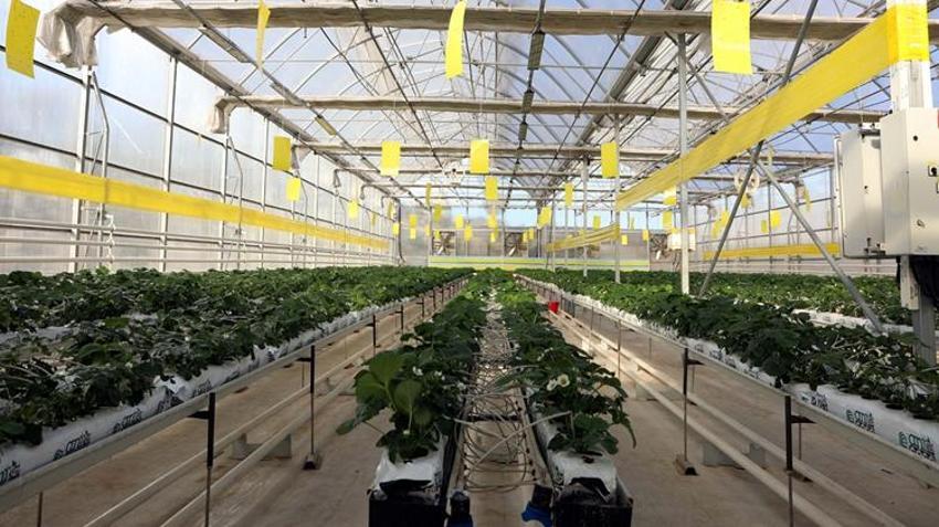 Çöp değil servet yatıyor! Gaziantep'te tam 40 bin konutun ihtiyacı bu tesisten karşılanıyor