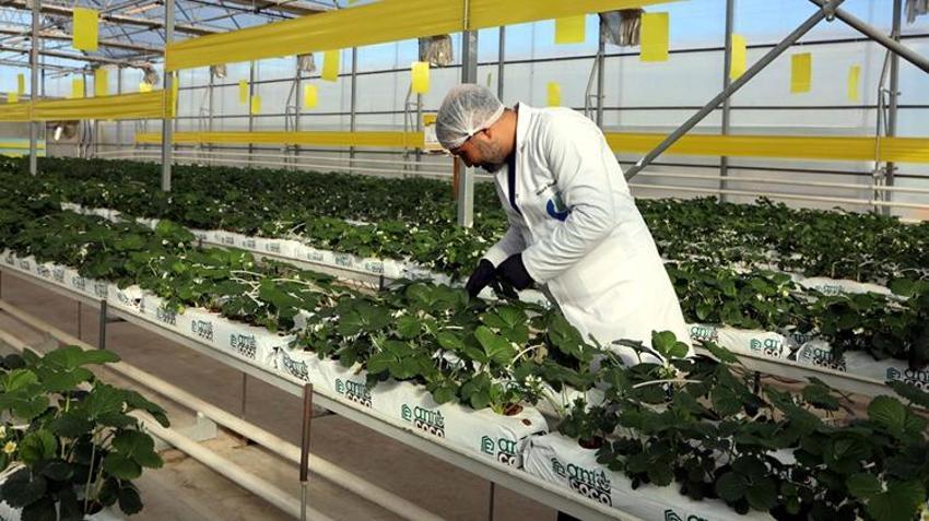 Çöp değil servet yatıyor! Gaziantep'te tam 40 bin konutun ihtiyacı bu tesisten karşılanıyor