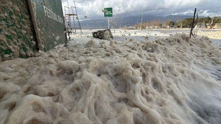 Balıkesir Edremit'te sahil beyaza büründü! Vatandaşlar ilginç doğa olayını şaşkınlıkla izledi