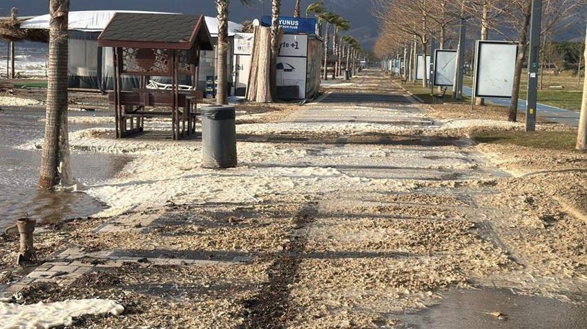 Balıkesir Edremit'te sahil beyaza büründü! Vatandaşlar ilginç doğa olayını şaşkınlıkla izledi