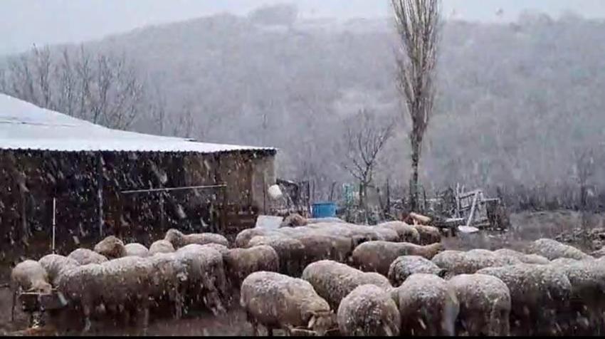 Kar yağışları Balkanlar üzerinden yurda giriş yaptı: Edirne'nin Hamzabeyli köyü beyaza büründü