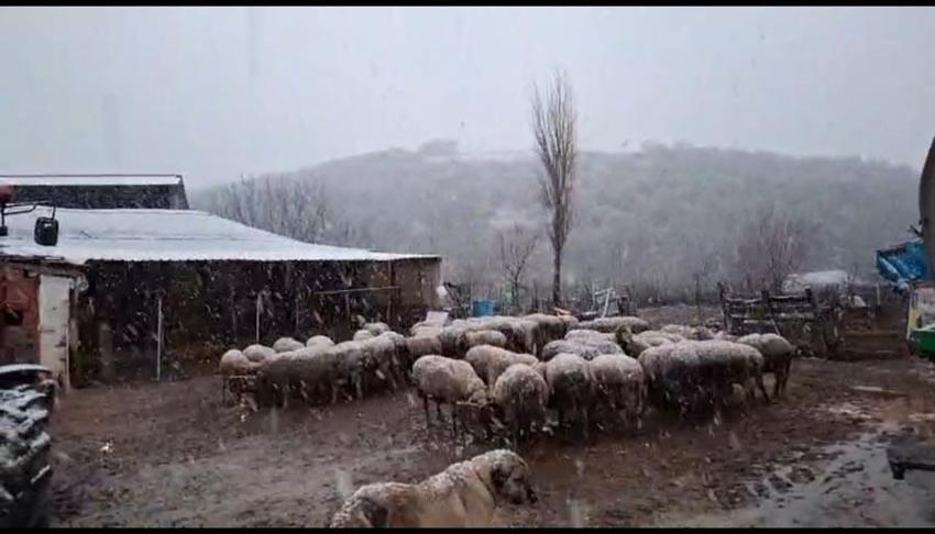 Kar yağışları Balkanlar üzerinden yurda giriş yaptı: Edirne'nin Hamzabeyli köyü beyaza büründü