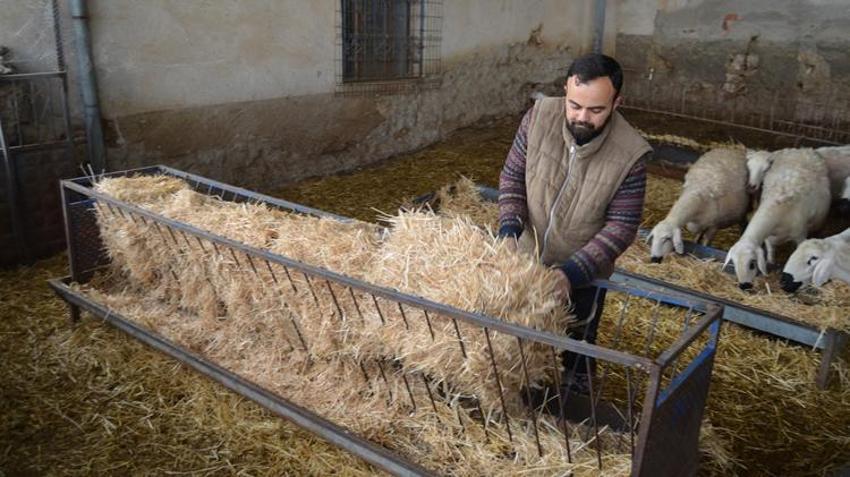 İngiltere'deki işini bırakıp Aksaray'daki köyüne döndü! Babasından devraldığı mesleği büyütüp kazancını katladı