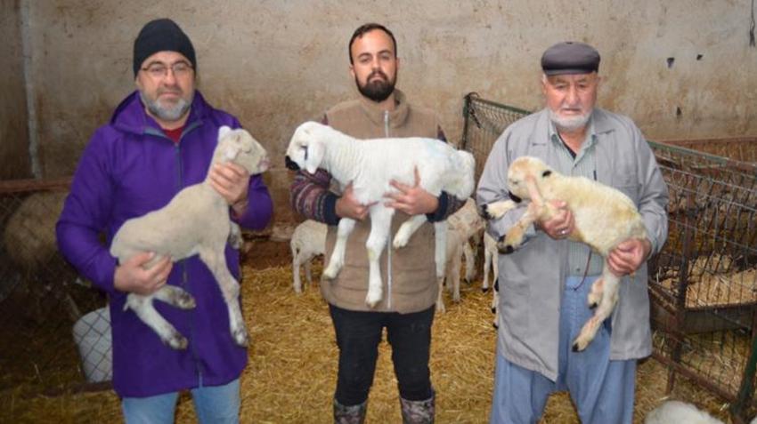 İngiltere'deki işini bırakıp Aksaray'daki köyüne döndü! Babasından devraldığı mesleği büyütüp kazancını katladı