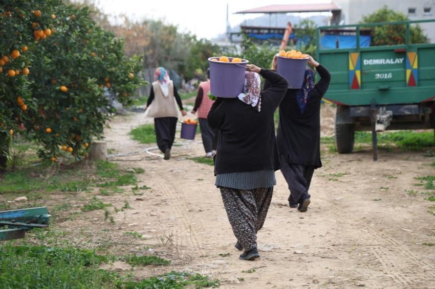 Adanalı kadınlar servet üretiyor! Tarlada 5, kazanda 300 lira! Türkiye'nin her yerinden sipariş yağıyor