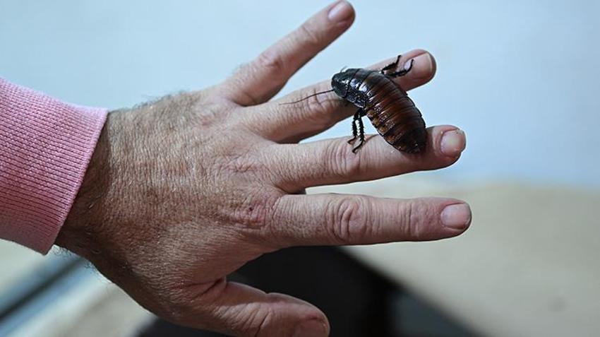 Kanser araştırmaları, kozmetik, gıda... Antalya'da sıra dışı üretim! Yurt içi ve yurt dışından talep yağıyor!