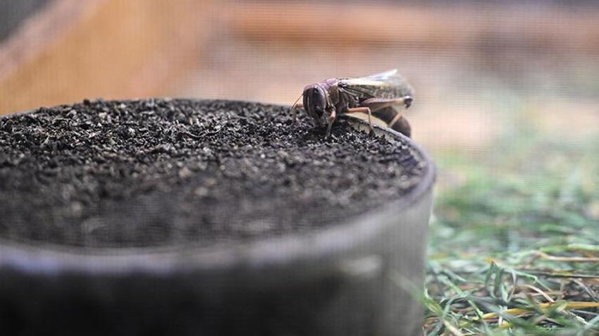 Kanser araştırmaları, kozmetik, gıda... Antalya'da sıra dışı üretim! Yurt içi ve yurt dışından talep yağıyor!