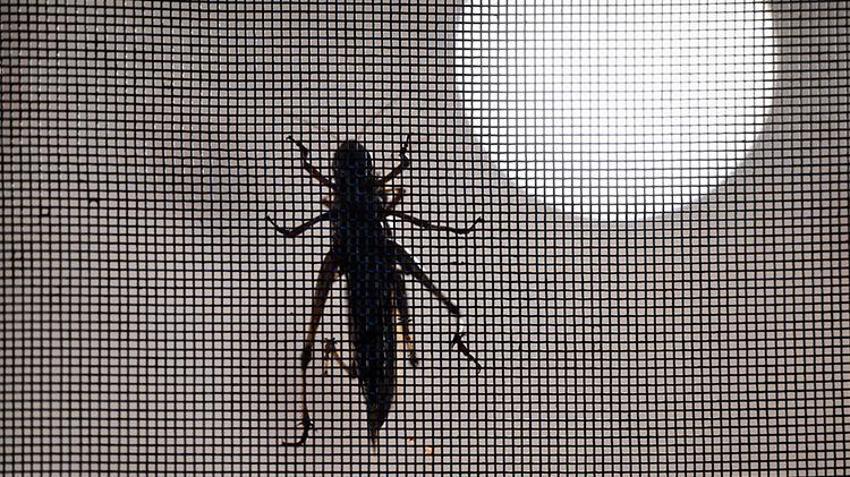 Kanser araştırmaları, kozmetik, gıda... Antalya'da sıra dışı üretim! Yurt içi ve yurt dışından talep yağıyor!