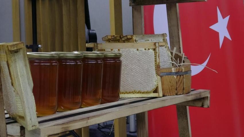 1 kilosu 11 bin 118 Euro! Ilgaz balı Guinness Rekorlar Kitabı'na girdi