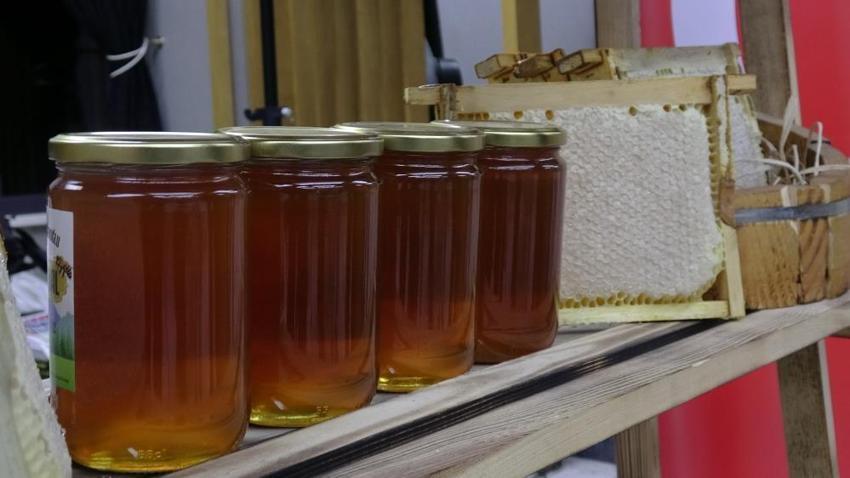 1 kilosu 11 bin 118 Euro! Ilgaz balı Guinness Rekorlar Kitabı'na girdi