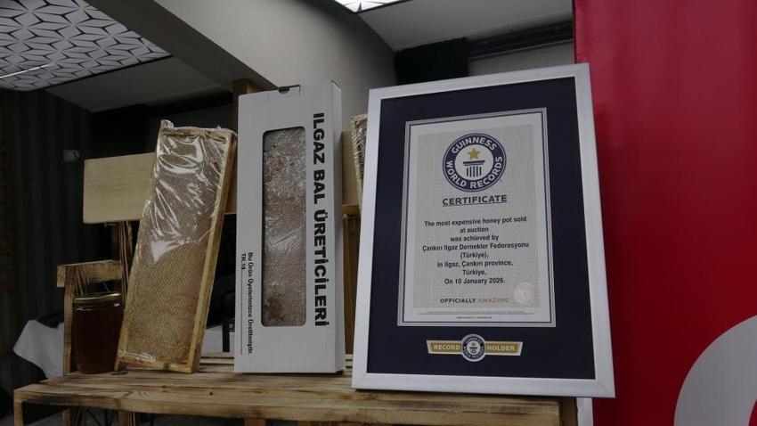 1 kilosu 11 bin 118 Euro! Ilgaz balı Guinness Rekorlar Kitabı'na girdi