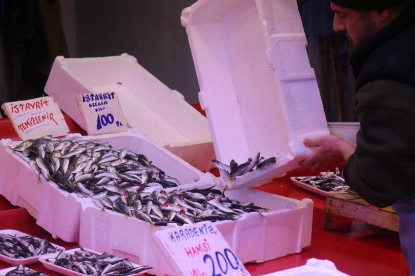 Hamsi Gürcistan'a istavrit Sakarya'ya kaçtı: Tezgahlar doldu taştı