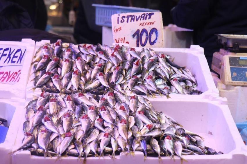 Hamsi Gürcistan'a istavrit Sakarya'ya kaçtı: Tezgahlar doldu taştı