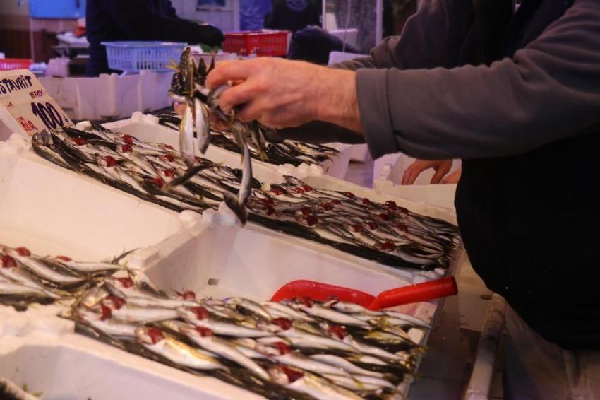 Hamsi Gürcistan'a istavrit Sakarya'ya kaçtı: Tezgahlar doldu taştı