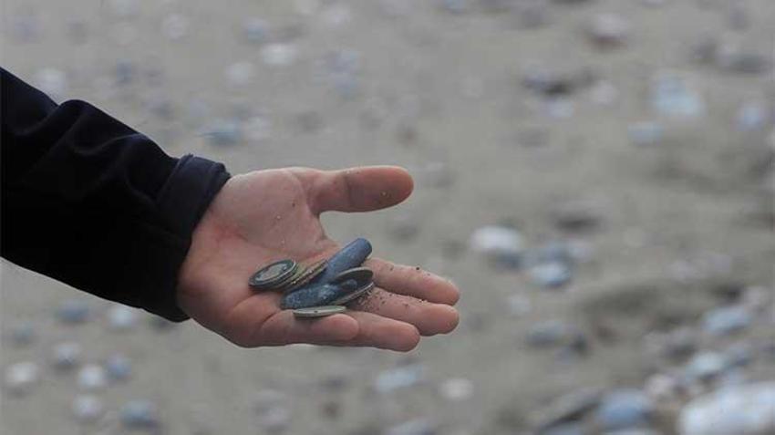 Antalya'da dev dalgaların arasında dedektörle altın aradılar! Define avcılarını fırtına bile durduramadı